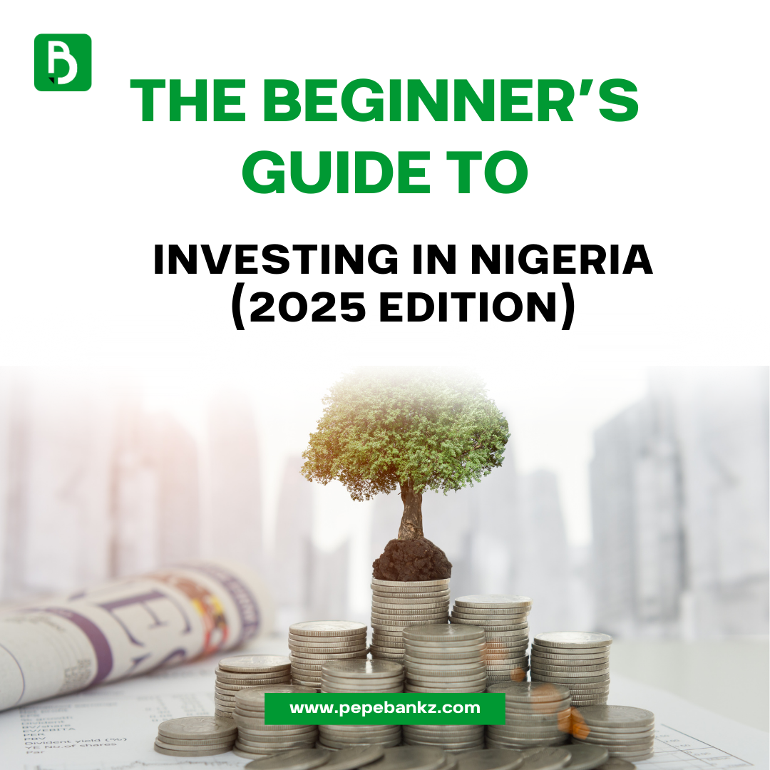 The Beginner’s Guide to Investing in Nigeria (2025 Edition)